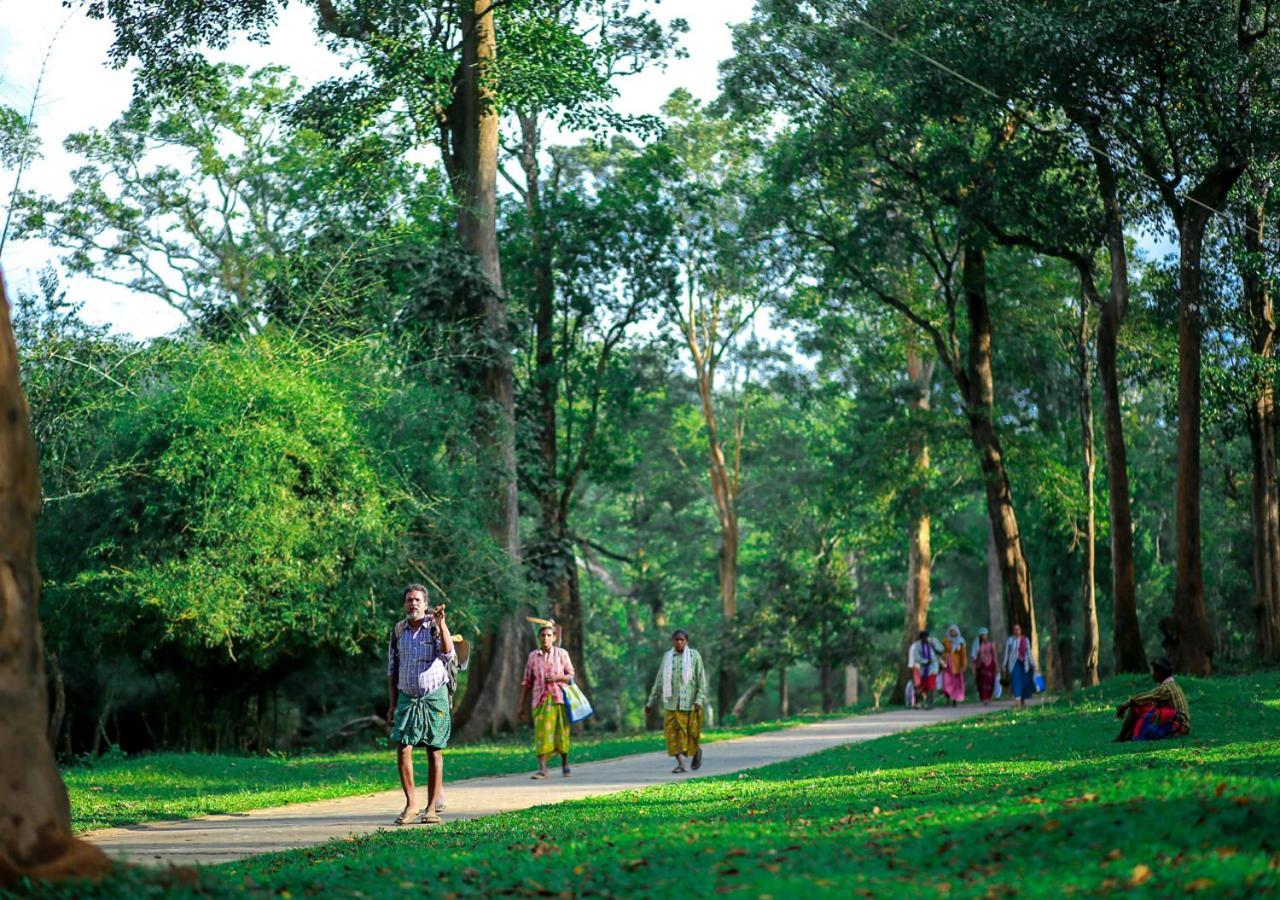 Tusker Inn Wayanad Forest Villa By Voye Homes מראה חיצוני תמונה