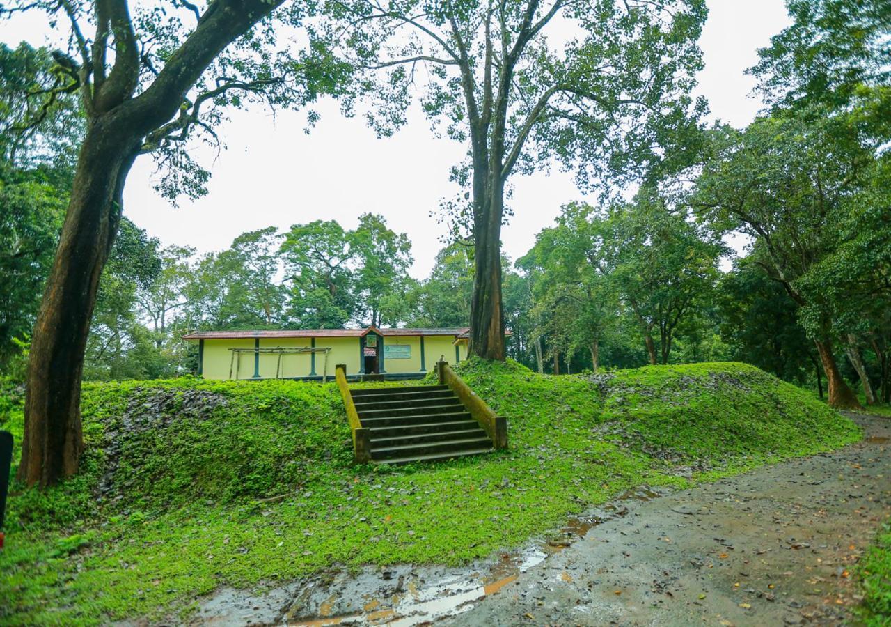 Tusker Inn Wayanad Forest Villa By Voye Homes מראה חיצוני תמונה