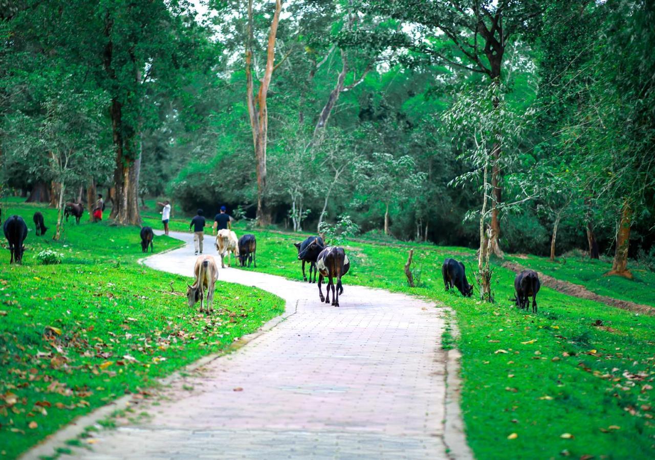 Tusker Inn Wayanad Forest Villa By Voye Homes מראה חיצוני תמונה